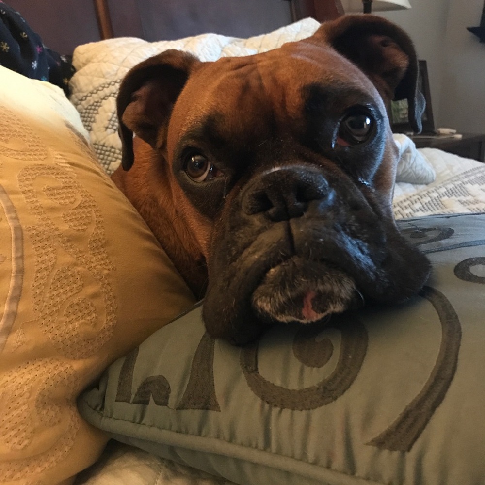 Meet your Posher, Brandon